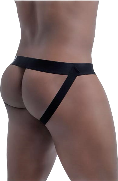 Zenith Zephyr Briefs Underwear